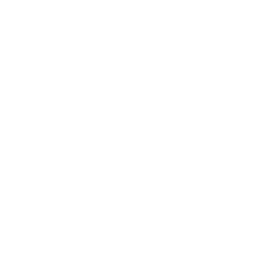 barniicompany.com